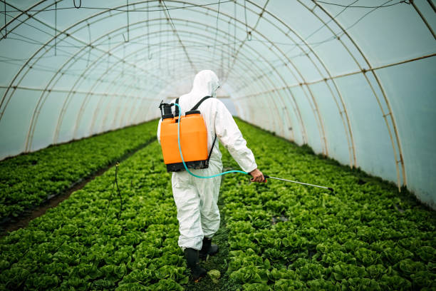 Best Best Pest Control Companies  in Hurstbourne, KY