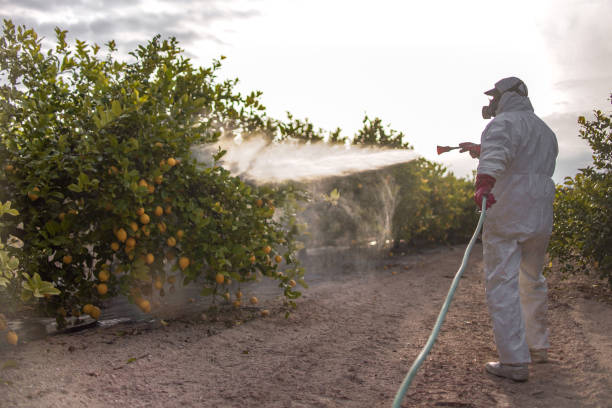 Pest Control Cost in Hurstbourne, KY