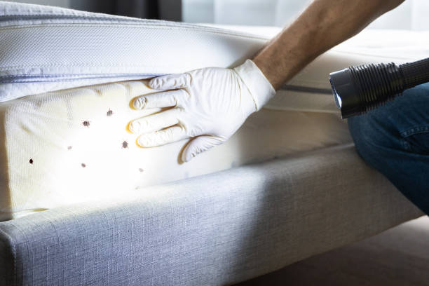 Best Wildlife Control Services  in Hurstbourne, KY
