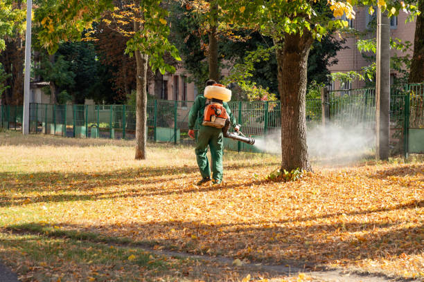 Best Termite Control Services  in Hurstbourne, KY