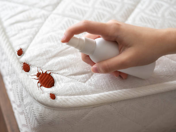 Best Exterminator Services  in Hurstbourne, KY