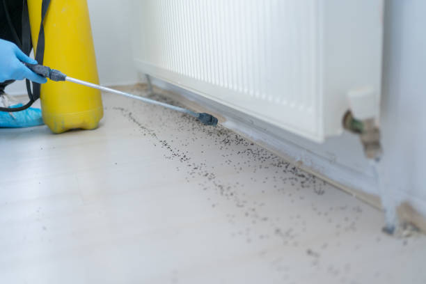 Best Best Pest Control Near Me  in Hurstbourne, KY