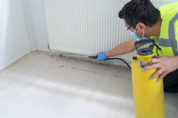 Pest Prevention Services in Hurstbourne, KY